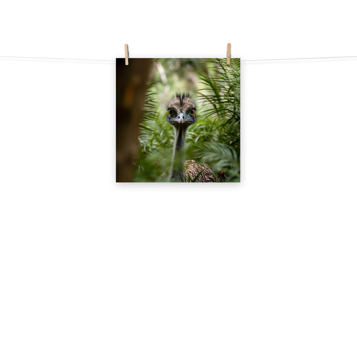 Emu Photo paper poster - PosterfyAI.com