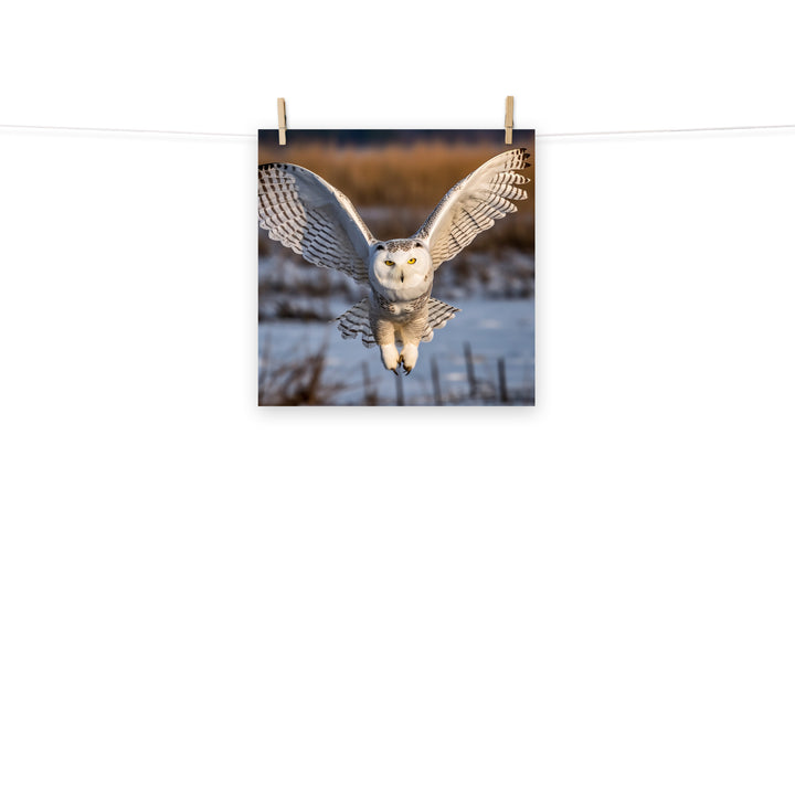 Owl Photo paper poster - PosterfyAI.com