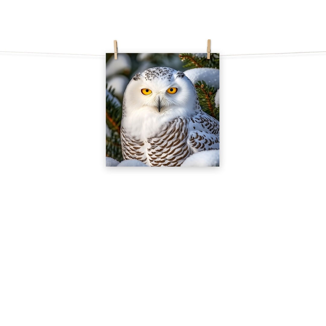 Owl Photo paper poster - PosterfyAI.com