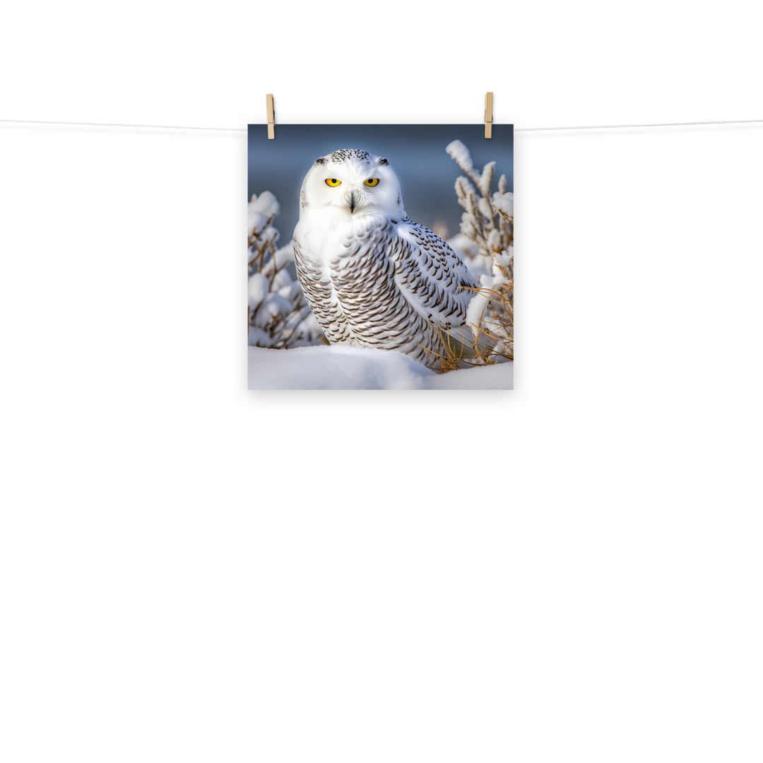 Owl Photo paper poster - PosterfyAI.com