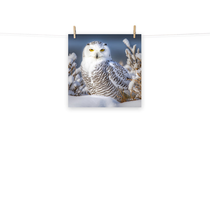 Owl Photo paper poster - PosterfyAI.com