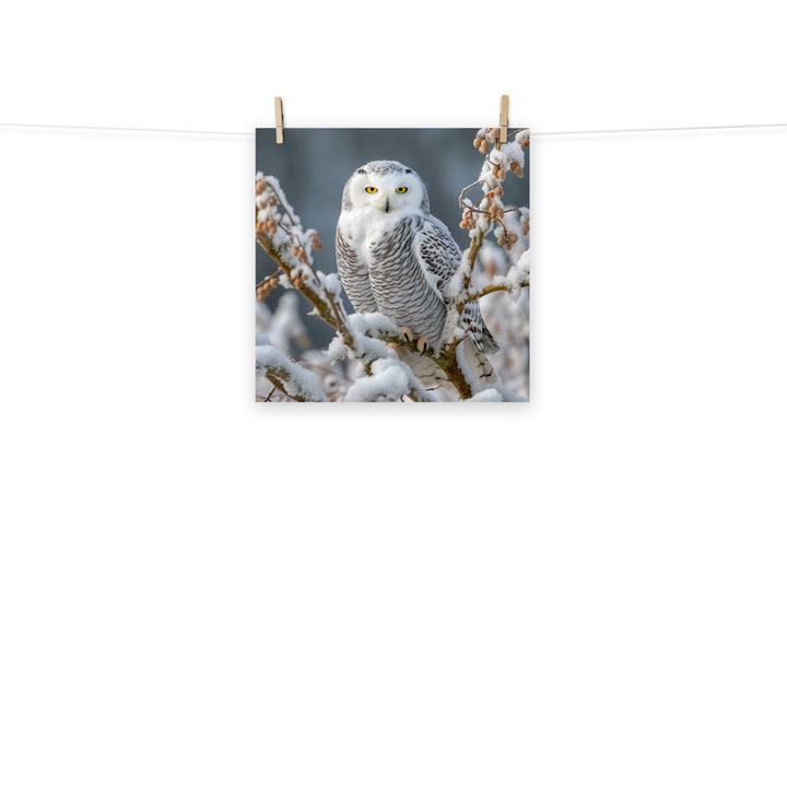 Owl Photo paper poster - PosterfyAI.com