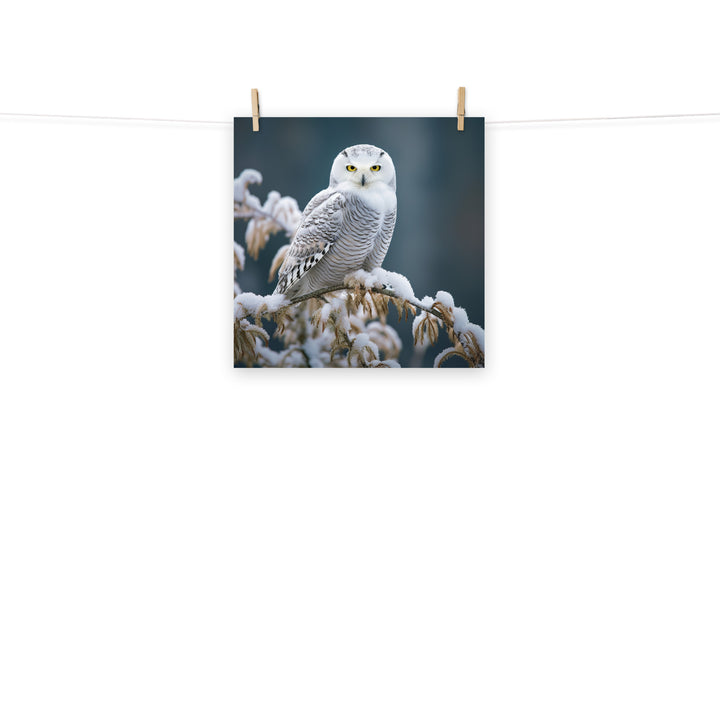 Owl Photo paper poster - PosterfyAI.com