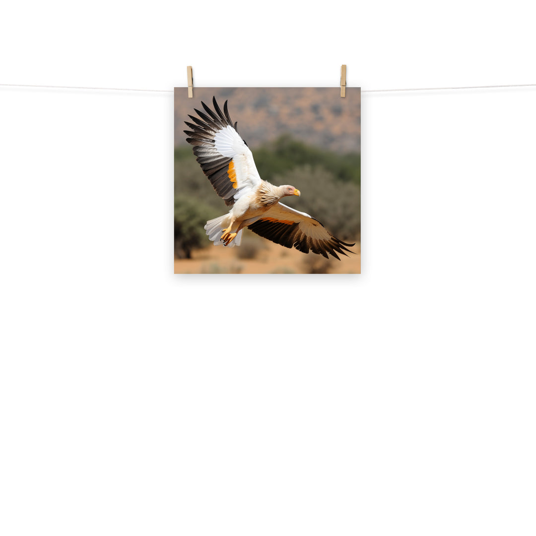 Vulture Photo paper poster - PosterfyAI.com
