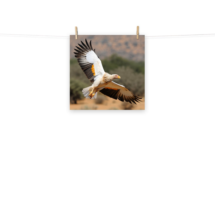 Vulture Photo paper poster - PosterfyAI.com