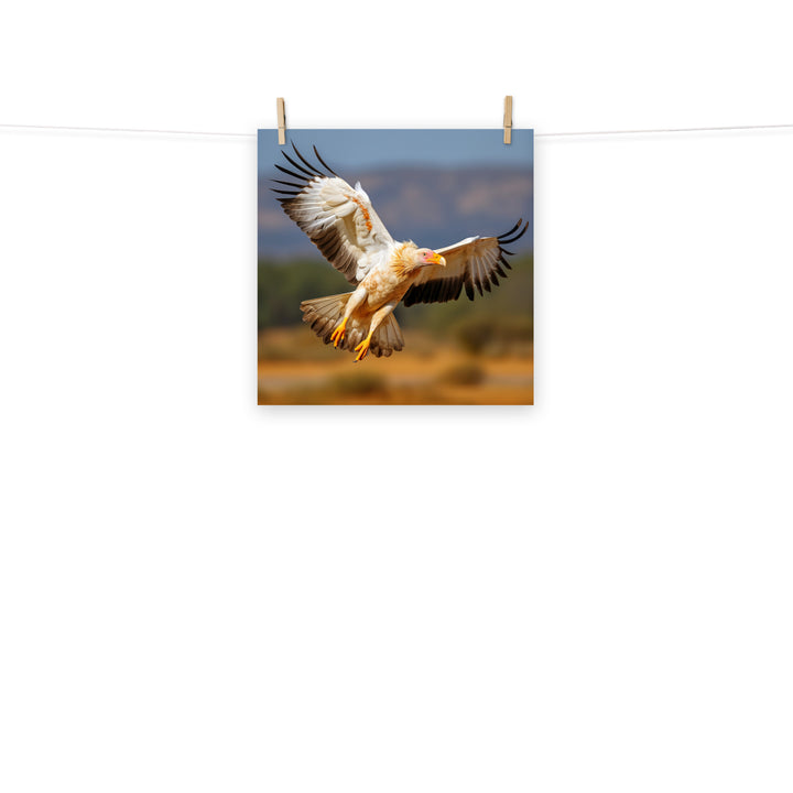 Vulture Photo paper poster - PosterfyAI.com
