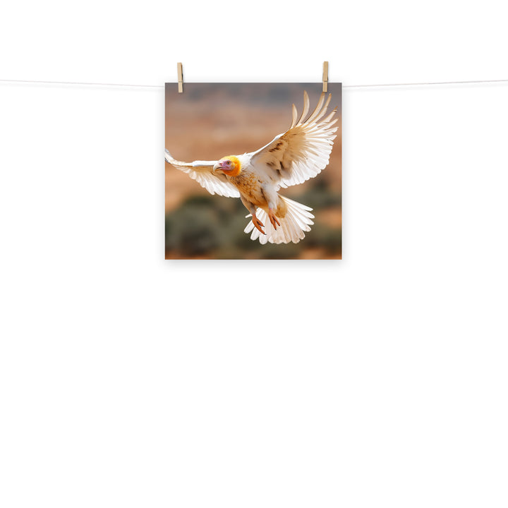 Vulture Photo paper poster - PosterfyAI.com