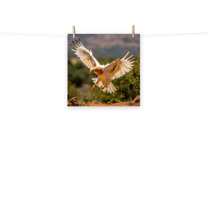 Vulture Photo paper poster - PosterfyAI.com