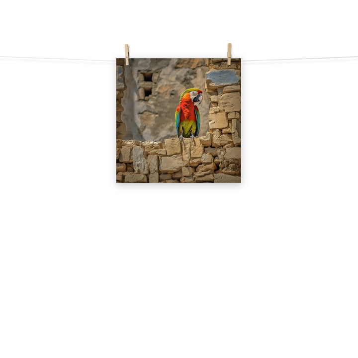 Macaw Photo paper poster - PosterfyAI.com