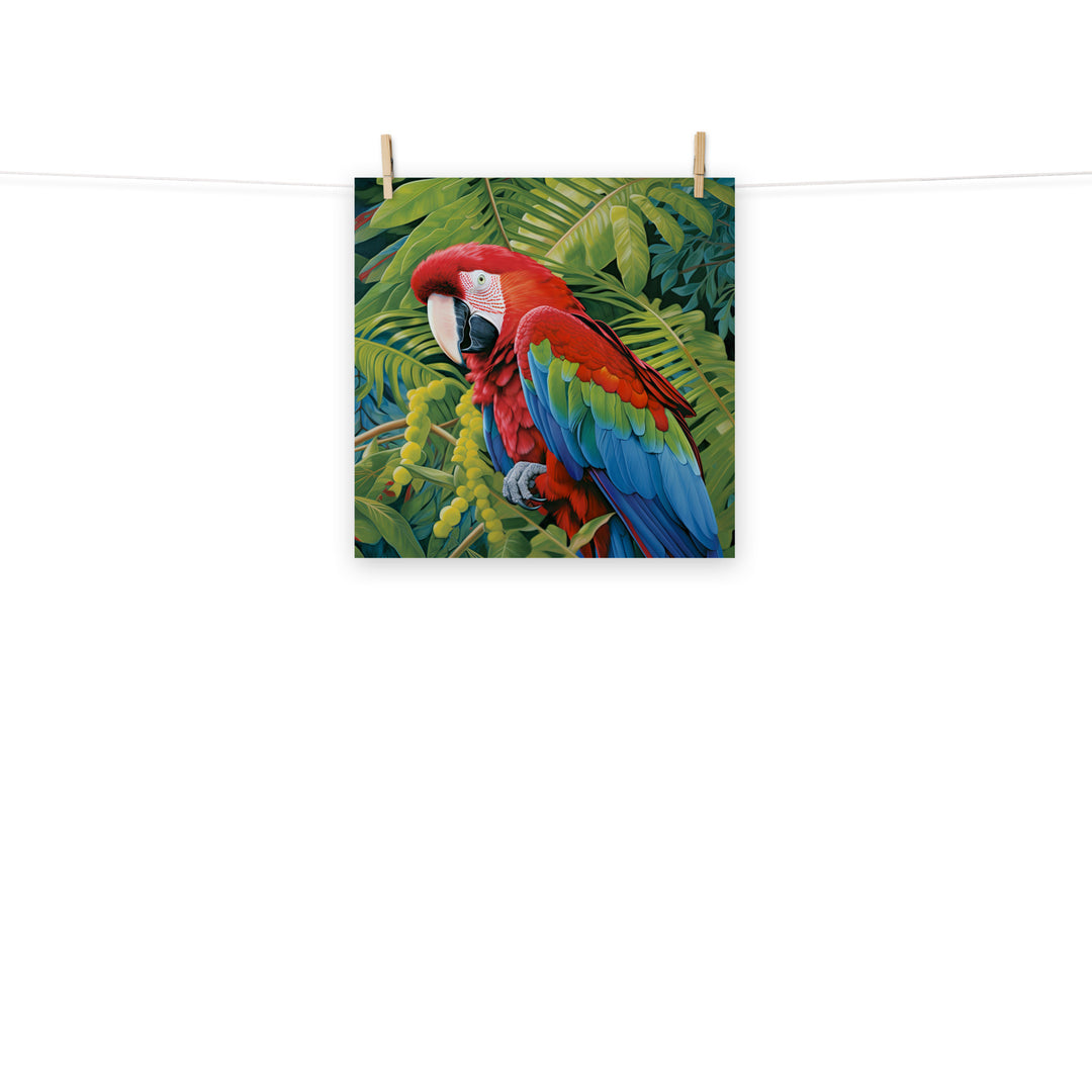 Macaw Photo paper poster - PosterfyAI.com