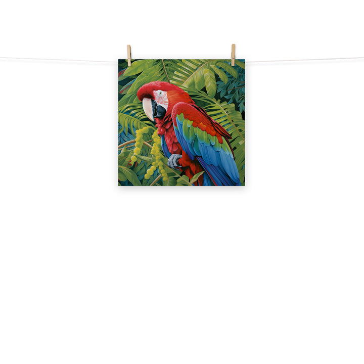 Macaw Photo paper poster - PosterfyAI.com