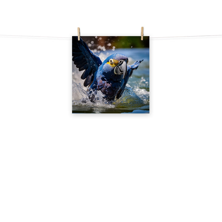 Macaw Photo paper poster - PosterfyAI.com