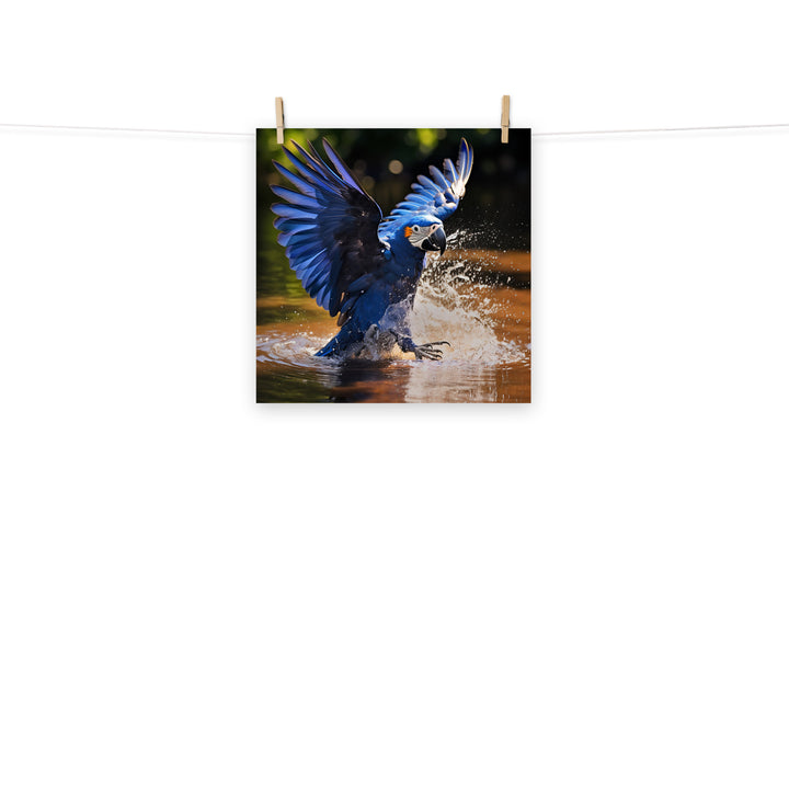 Macaw Photo paper poster - PosterfyAI.com