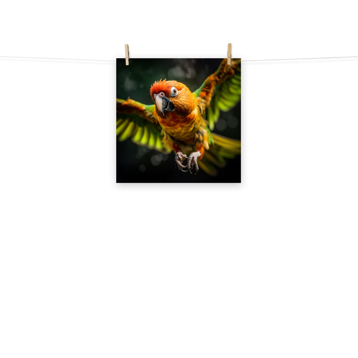 Conures Photo paper poster - PosterfyAI.com
