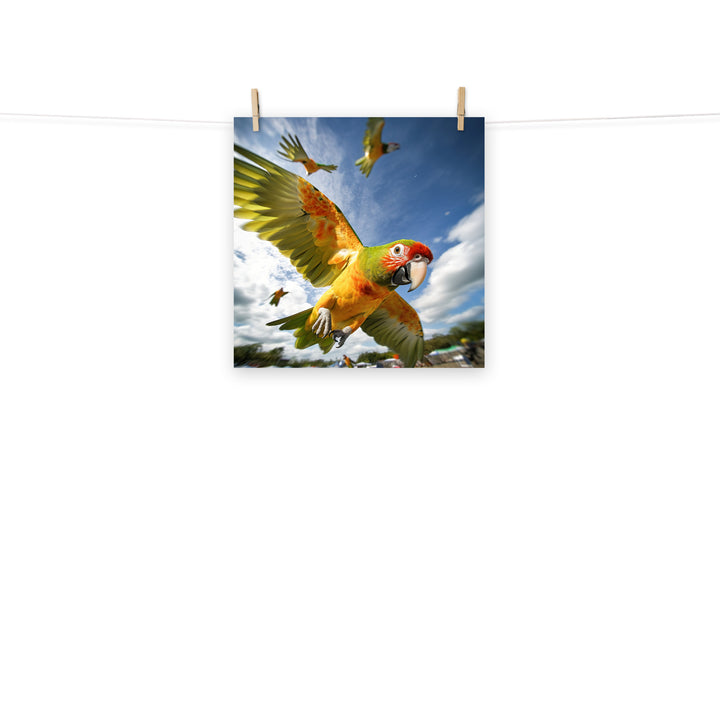 Conures Photo paper poster - PosterfyAI.com