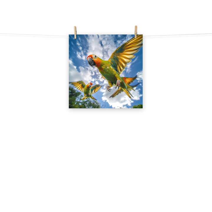 Conures Photo paper poster - PosterfyAI.com