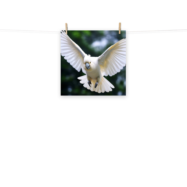 Cockatoo Photo paper poster - PosterfyAI.com