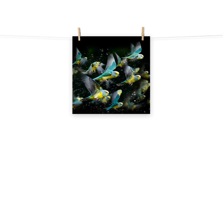 Budgerigar Photo paper poster - PosterfyAI.com