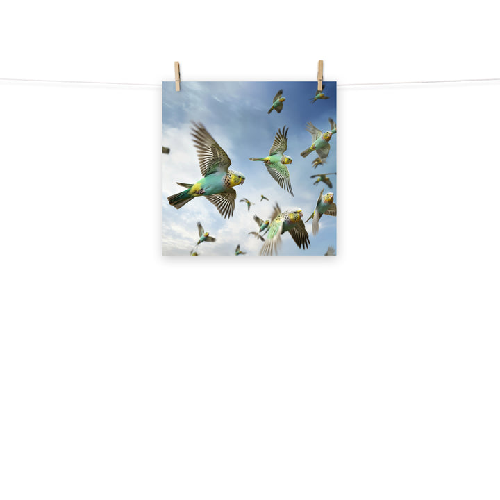 Budgerigar Photo paper poster - PosterfyAI.com