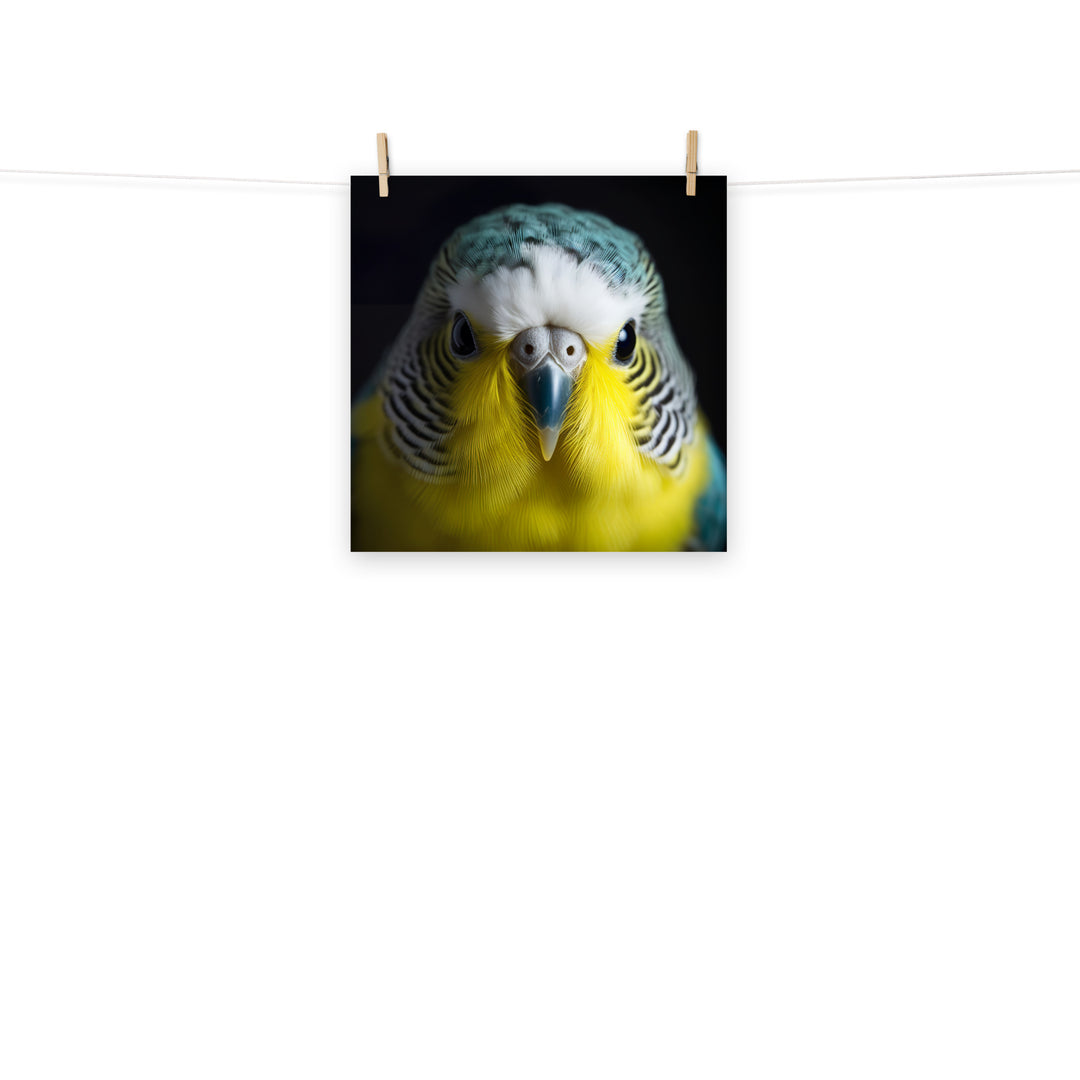 Budgerigar Photo paper poster - PosterfyAI.com