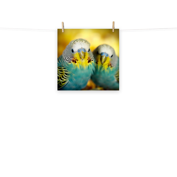 Budgerigar Photo paper poster - PosterfyAI.com