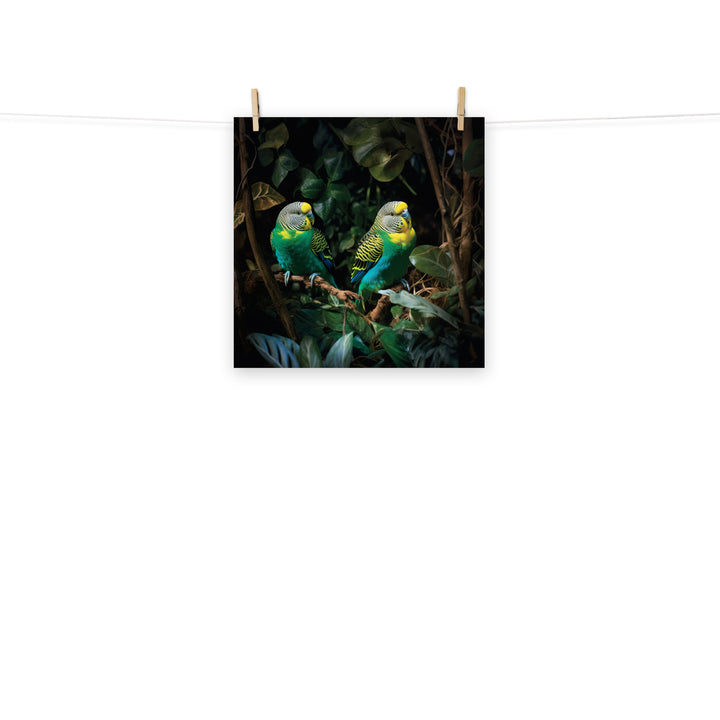 Budgerigar Photo paper poster - PosterfyAI.com