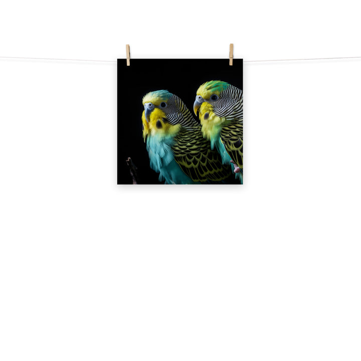 Budgerigar Photo paper poster - PosterfyAI.com