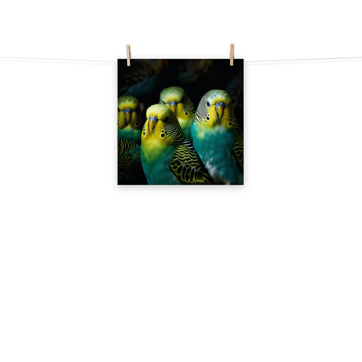 Budgerigar Photo paper poster - PosterfyAI.com