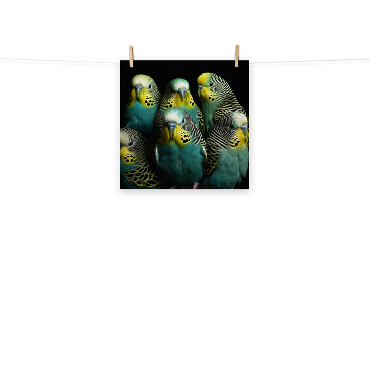 Budgerigar Photo paper poster - PosterfyAI.com