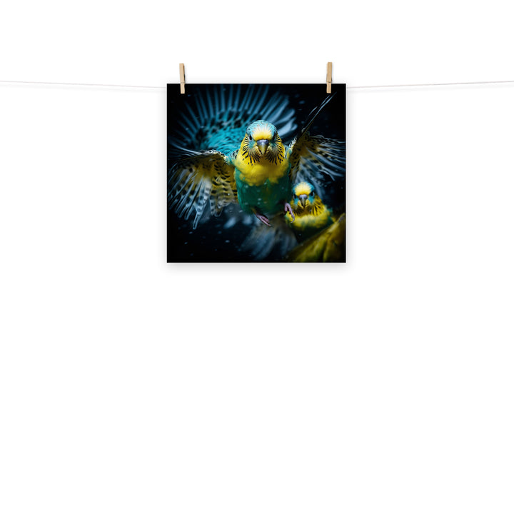 Budgerigar Photo paper poster - PosterfyAI.com
