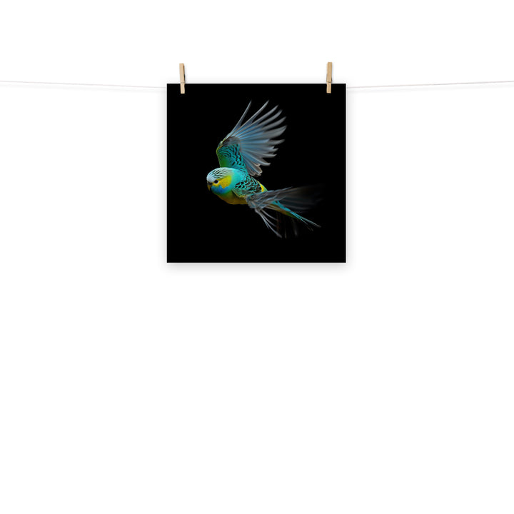 Budgerigar Photo paper poster - PosterfyAI.com