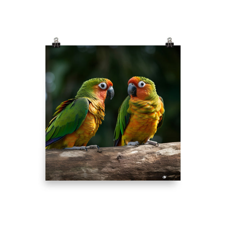 Two Conures perched side by side photo paper poster - Posterfy.AI