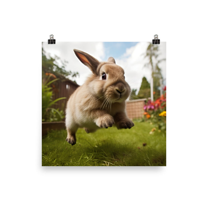 Holland Lop Photo paper poster - PosterfyAI.com