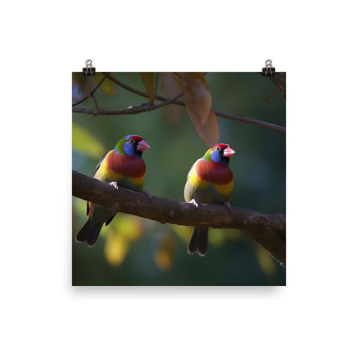 Rainbow Finches in the Wild Photo paper poster - PosterfyAI.com