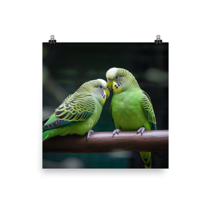Parakeet Lovebirds Photo paper poster - PosterfyAI.com