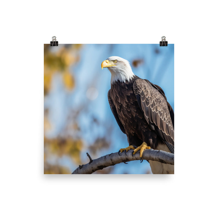 Majestic Bald Eagle Perched on a Tree Branch Photo paper poster - PosterfyAI.com