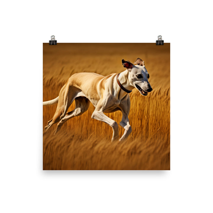 Whippet in Full Stride Photo paper poster - PosterfyAI.com