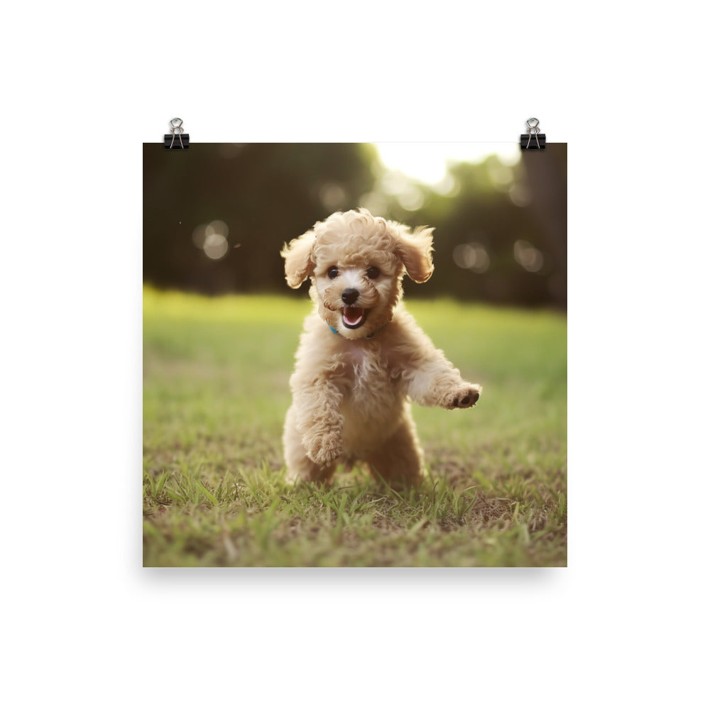 Playful Poodle Pup Photo paper poster - PosterfyAI.com