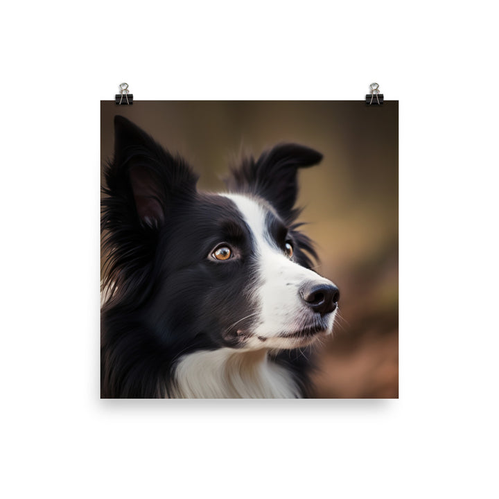 Majestic Border Collie Portrait Photo paper poster - PosterfyAI.com