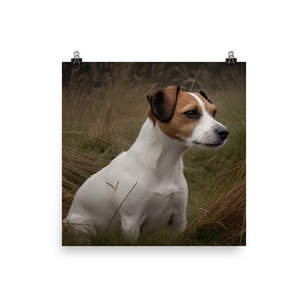 Loyal Jack Russell Terrier Photo paper poster - PosterfyAI.com