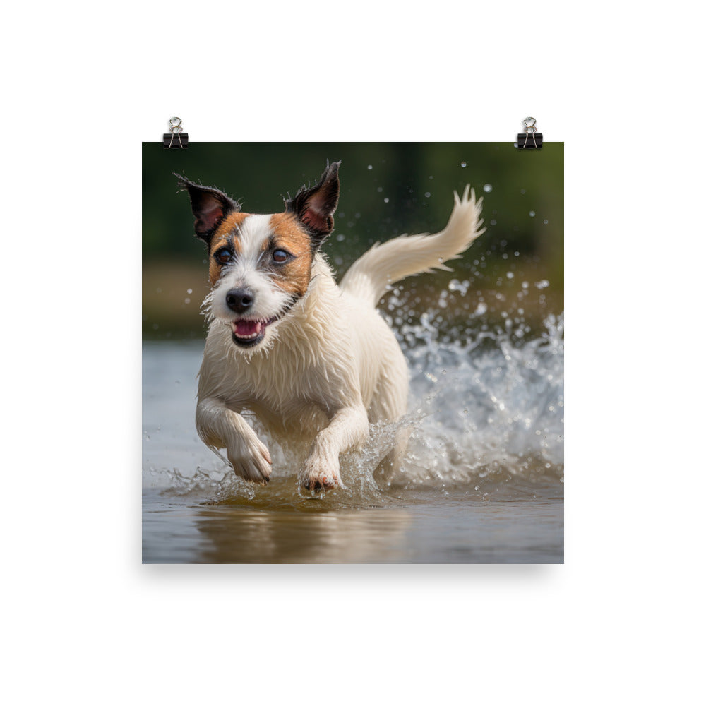 Jack Russell Terriers Comical Expression Photo paper poster - PosterfyAI.com