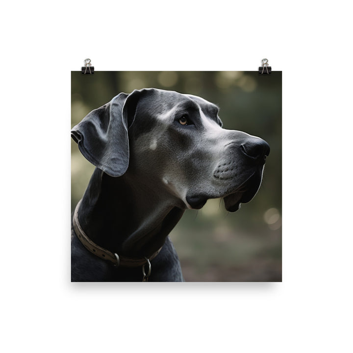 Graceful Great Dane Gazing Photo paper poster - PosterfyAI.com