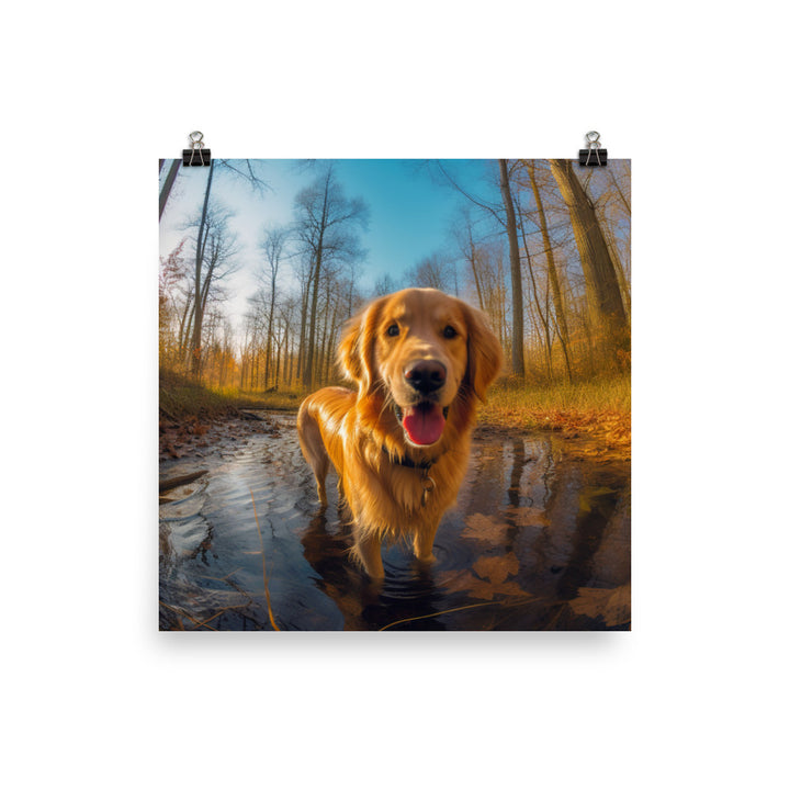 Golden Retriever Photo paper poster - PosterfyAI.com