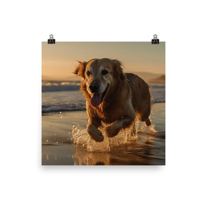 Golden Retriever at the Beach Photo paper poster - PosterfyAI.com