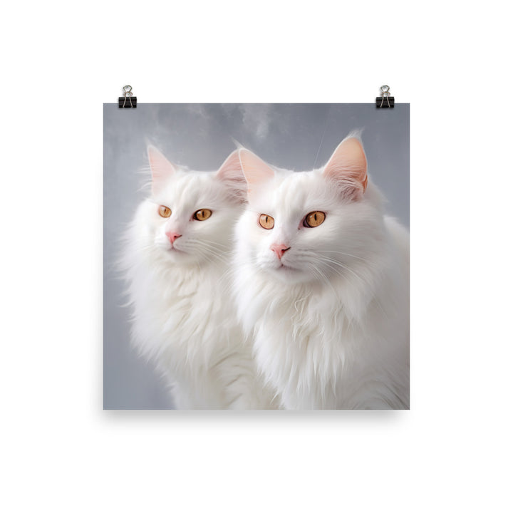 Turkish Van Cat in Winter Photo paper poster - PosterfyAI.com