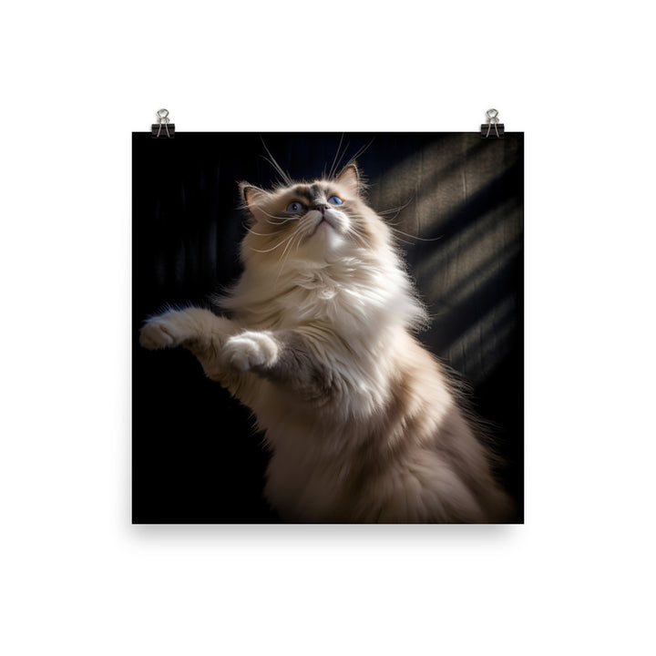 Ragdoll Cat in Motion Photo paper poster - PosterfyAI.com