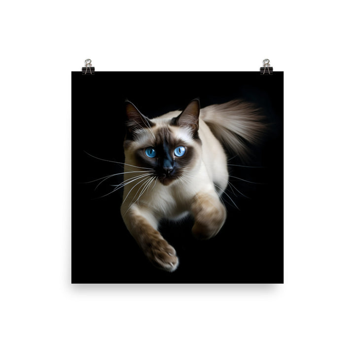 Graceful Siamese in Motion Photo paper poster - PosterfyAI.com