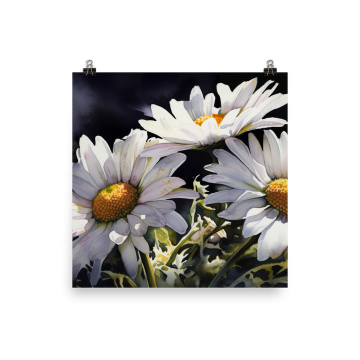 Daisies in Full Bloom photo paper poster - Posterfy.AI