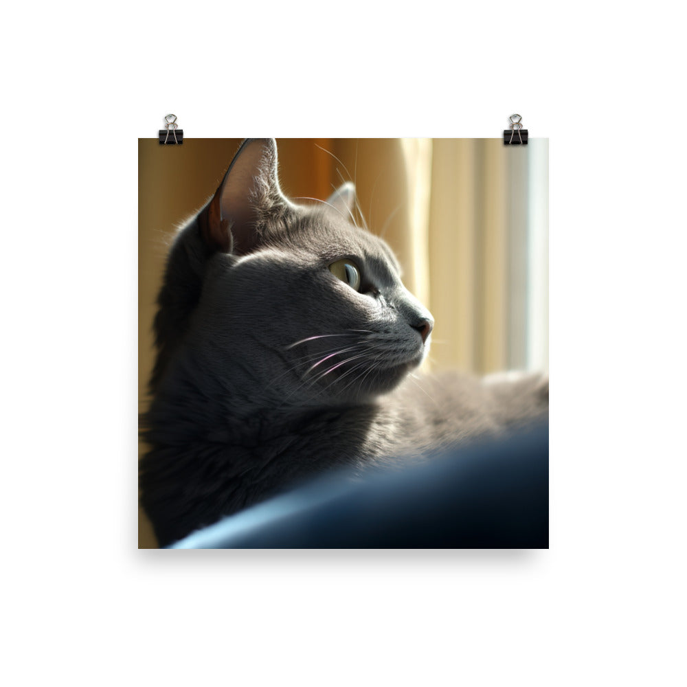 Serene Russian Blue Cat photo paper poster - Posterfy.AI