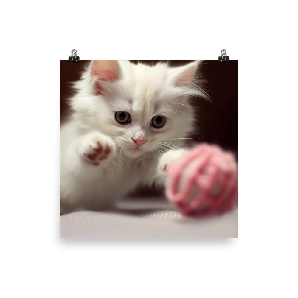 Playful Turkish Angora Kitten photo paper poster - Posterfy.AI